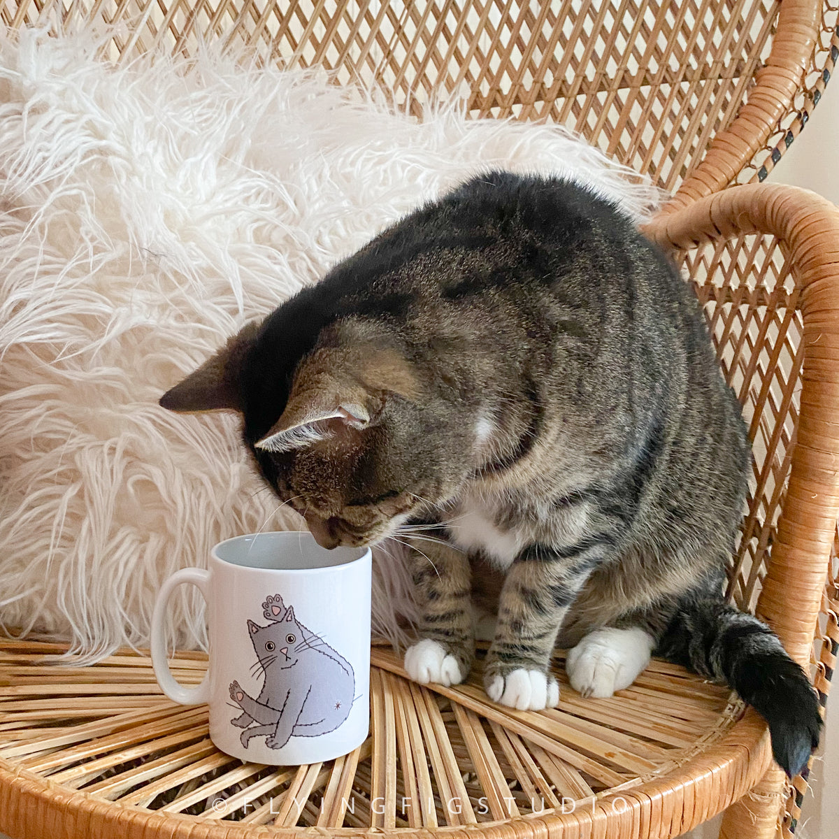 Yoga Cat/Cat Butt Illustration Mug – Flying Fig Studio