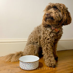 Personalised Spotty Enamel Mug and Bowl/Dog Bowl